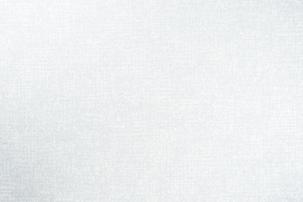 Обои виниловые на флизелиновой основе Vinil Остин декор ТФШ 1-1437 1,06x10,05 м 