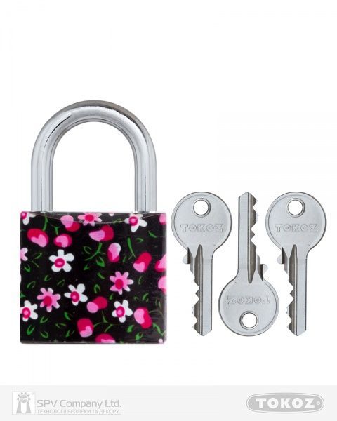 Замок навісний TOKOZ Cherry 40 Tk1 M відкритий (амбарний)