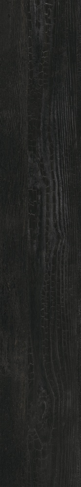 Плитка Allore Group Albero Black F PR R Mat 19,8x120 см