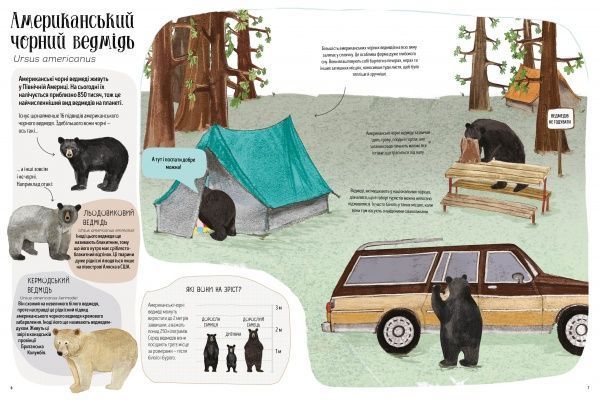 Книга Кейти Виггерс «Ведмежа книга. На гостині у ведмедів з усього світу» 9-786-177-579-624