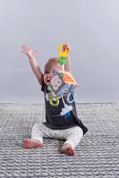 Игрушка развивающая Taf Toys кубик Веселые Зверушки 12185