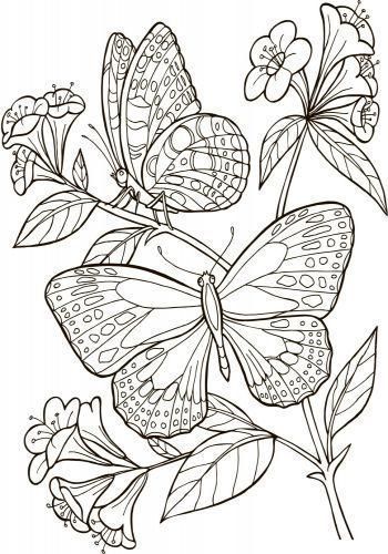 Раскраска «Велика кн.розмальовок (нова) : Для дівчаток (у) НШ» 978-966-74-8248-0