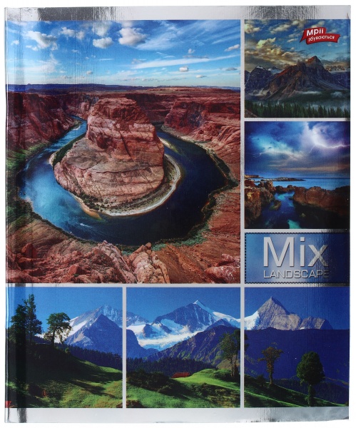 Тетрадь школьная серебро 4 листов в клеточку в ассортименте Мечты сбываются