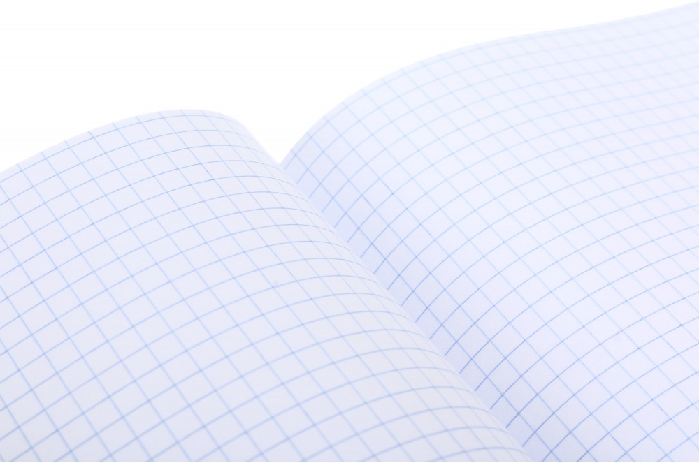 Тетрадь 48 листов в клеточку (2252547034019) Nota Bene