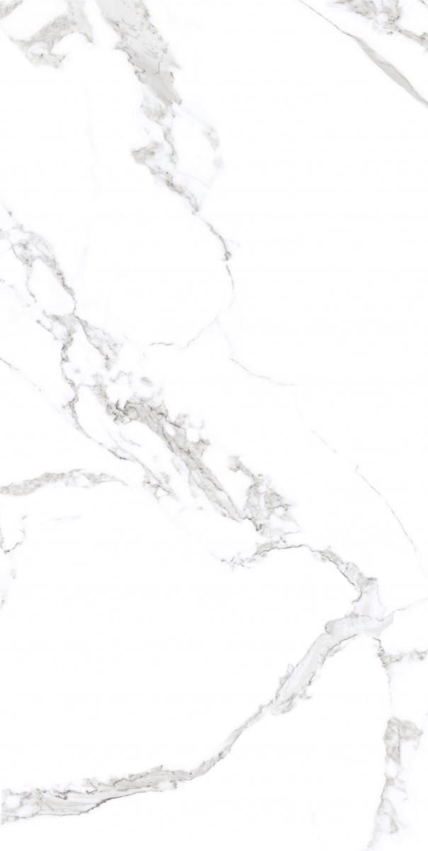 Плитка Allore Group Nuovo White F P R Satin 60x120 см — фото 1