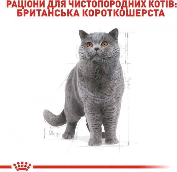 Корм Royal Canin для котів BRITISH SHORTHAIR (Брітіш Шортхейр Едалт), 10 кг