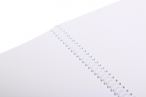 Тетрадь для рисования 30 листов в ассортименте Мечты сбываются