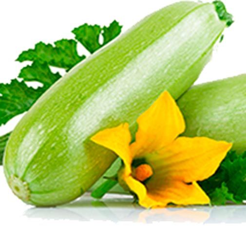Насіння Садовий Світ кабачок Чаклун 3г