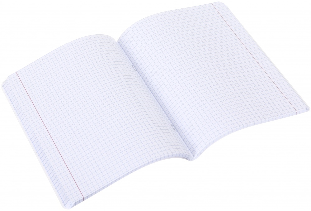 Зошит шкільний Pixel landscape2_25 96 аркушів у клітинку Nota Bene