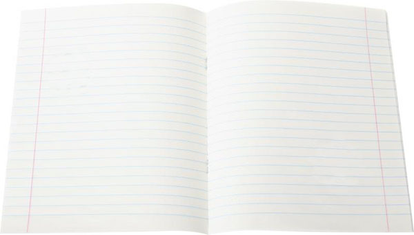 Тетрадь линия Brisk эконом 18 листов