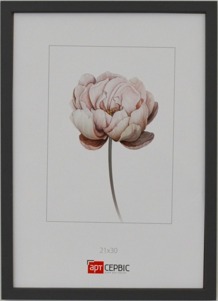 Рамка для фото Арт-Сервіс ЕА-01819 1 фото 21х30 см графіт 