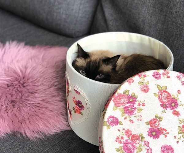 Короб текстильный с крышкой Цветы 20х16 см FB-24 Handy Home