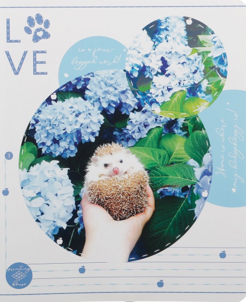 Тетрадь школьная Tadward 12 листов клетка