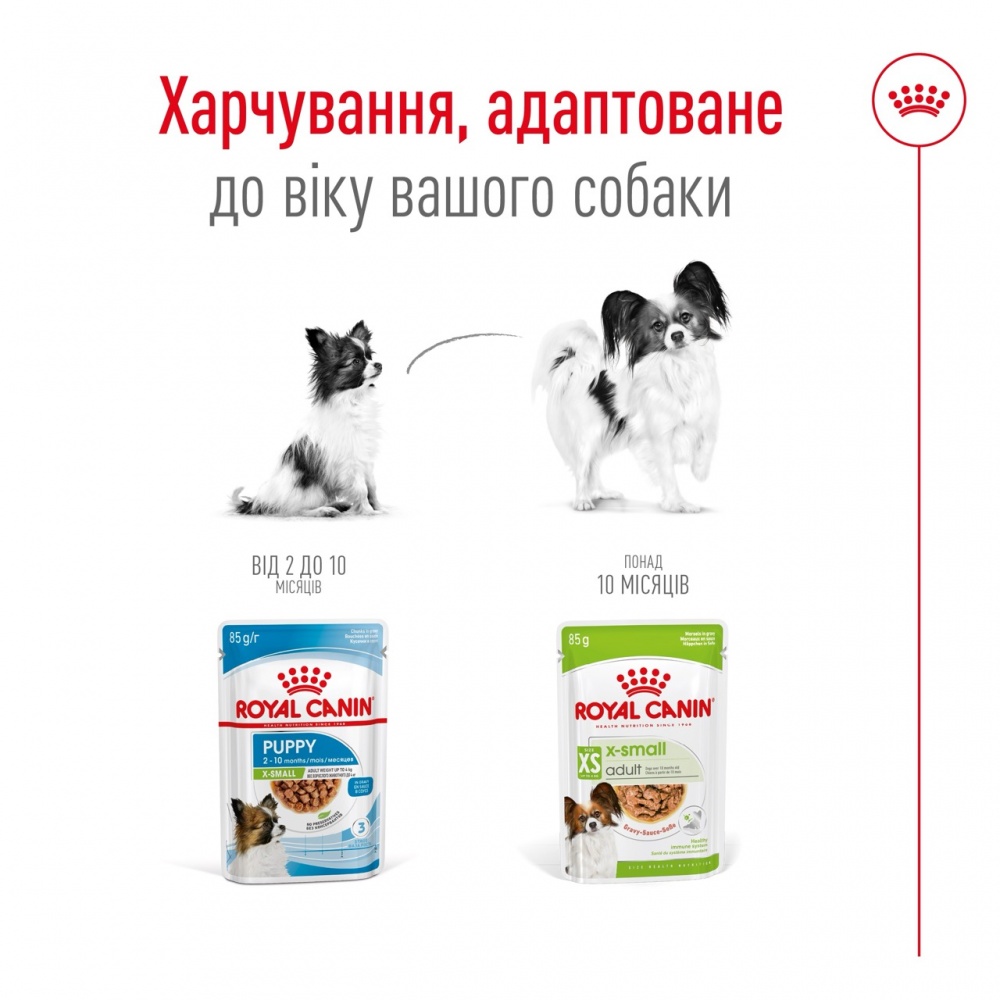 Корм вологий Royal Canin X-Small Adult Gravy 85 г