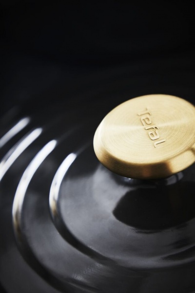 Кастрюля керамическая Air 3,1 л E2554455 Tefal