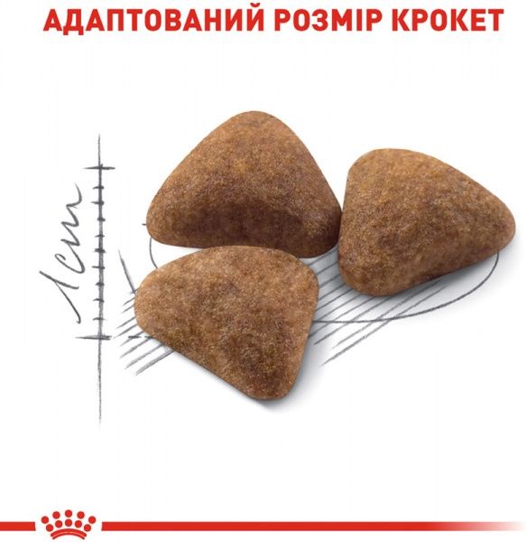 Корм Royal Canin Indoor 400 г