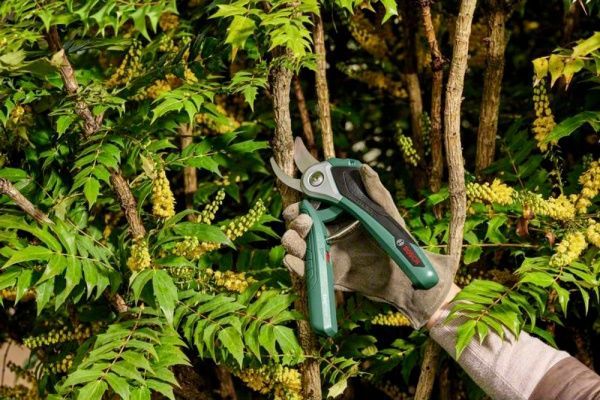 Секатор Bosch акумуляторний EasyPrune 06008B2000
