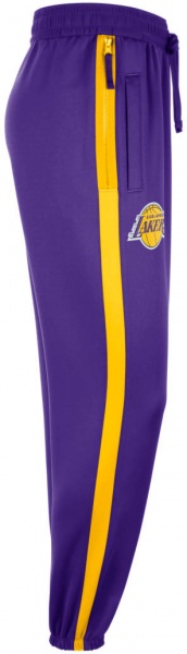 Брюки Nike LAL DF SHWTM PNT DN4611-504 р. M фиолетовый