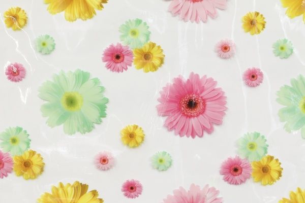 Клейонка Гербера бузкова 1,4 м прозора 8811