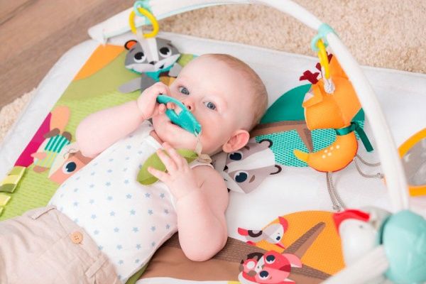 Развивающий коврик Tiny Love Лесные друзья