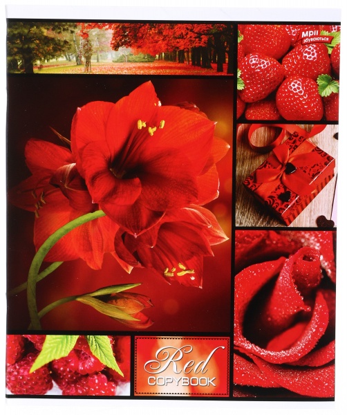 Зошит шкільний 48 аркушів у клітинку в асортименті Мрії збуваються