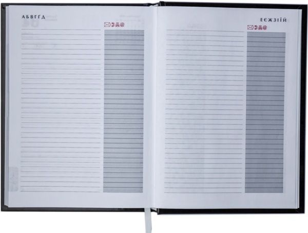 Щоденник недатований Diamante А5 Малиновий 288 стр. Buromax 