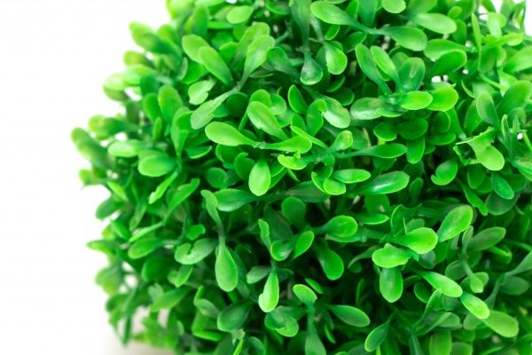 Рослина штучна Самшит св-зелений 13 см 960194 Девілон