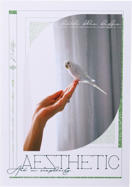 Блокнот А4 в клітинку 120 аркушів в асортименті Поділля