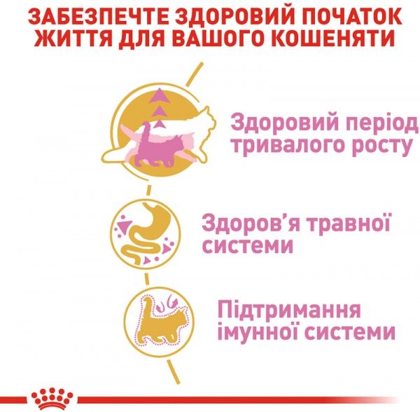 Корм Royal Canin Maine Coon Kitten 4 кг