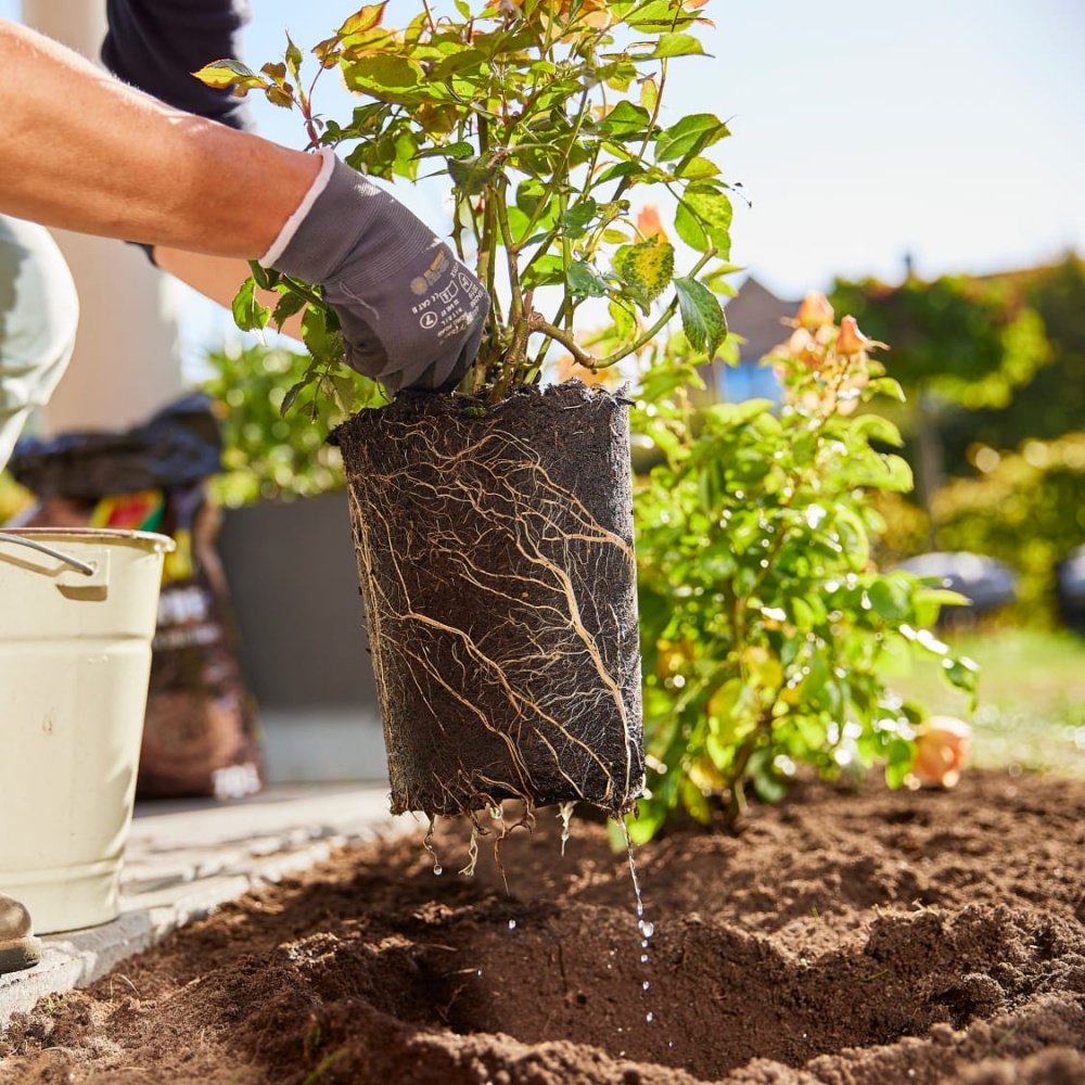 Удобрение гранулированное Compo TURBO® для активации корневой системы 700 г