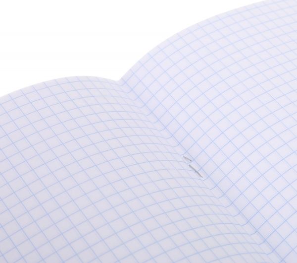 Тетрадь школьная 48 листов в клетку Nota Bene