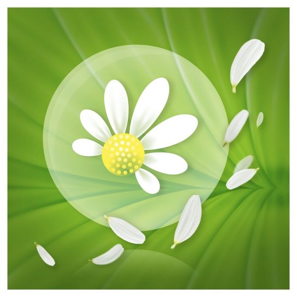 Прокладки щоденні Naturella Camomile plus 50 шт.