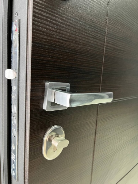 Дверь входная Tarimus Райдо антрацит / венге горизонт темный 2050х860 мм правая