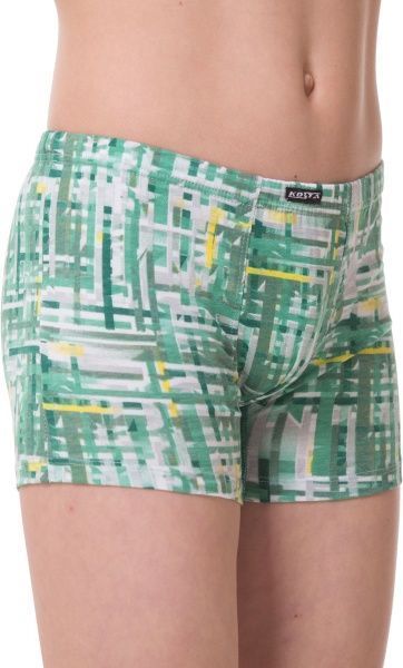 Трусы для мальчика KOSTA 0067-6 р.158 зеленый 