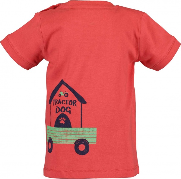 Футболка для мальчиков Blue Seven р.68 красный 928129 X_307_р.68 