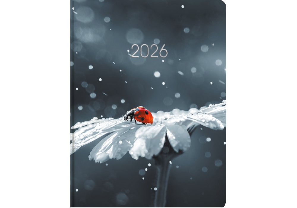 Щоденник датований Сонечко Economix A5 2026