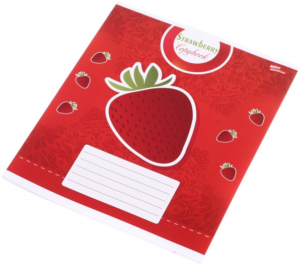 Тетрадь школьная 24 листа в линейку в ассортименте Мечты сбываются