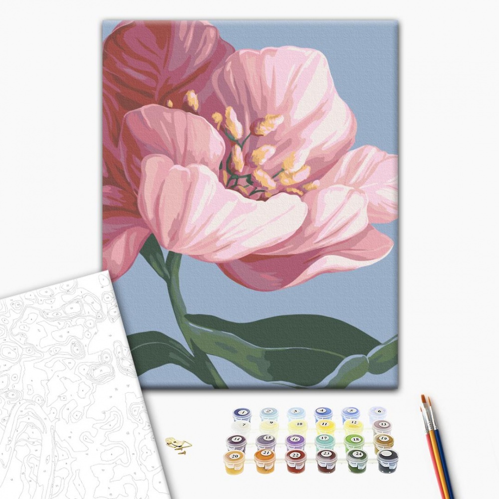 Картина за номерами Квітни © Yana Biluhina 30х40 см Brushme