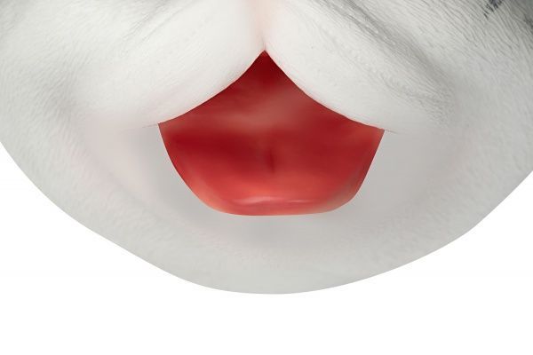 Игрушка-рукавичка Same Toy Кот серый X336UT