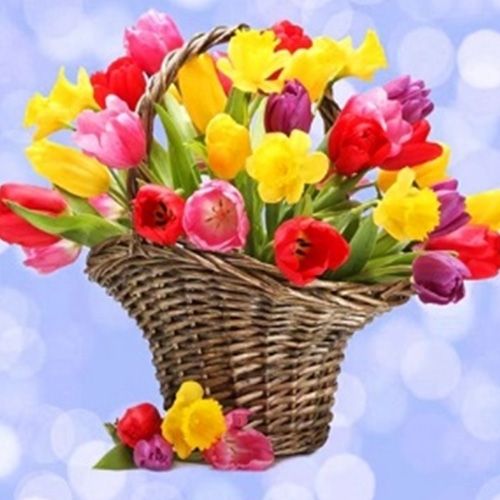 Набір для творчості зі стразами на підрамнику Весняний кошик 30x30 см Діамантові ручки 