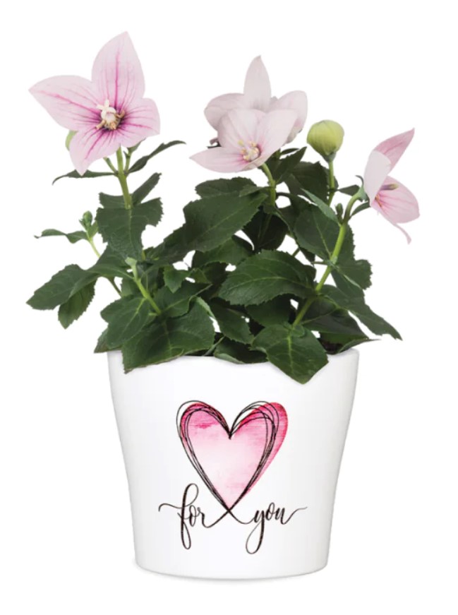 Кашпо під вазони 808 With Love, 11