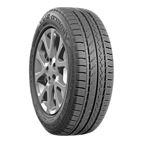 Шина PREMIORRI Vimero-Van AS 235/65R16C 115/113 R літо