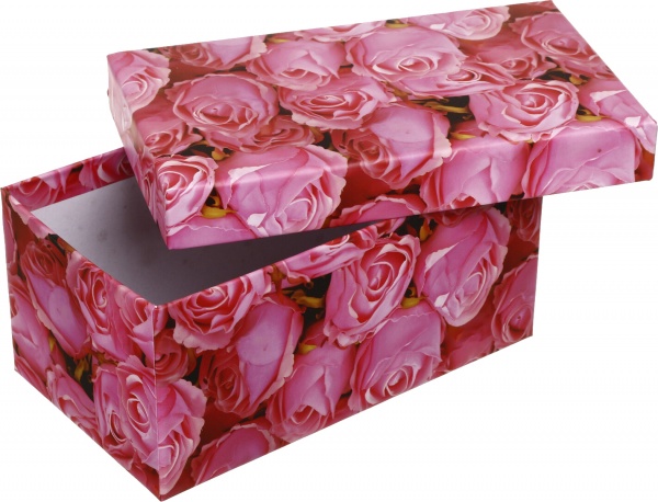 Коробка подарункова Art studio of happiness GS11717 19,5x11,5x9 см