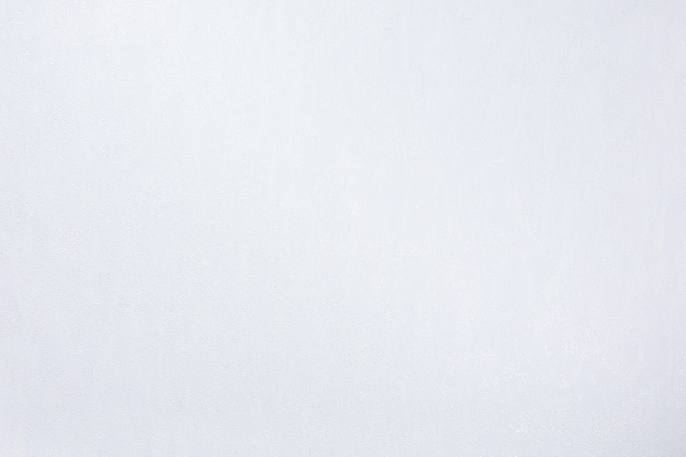 Шпалери зі спіненого вінілу Vinil Rains ДХС-1588/1 1,06x10,05 м