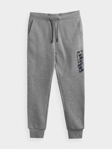 Брюки 4F J4Z20-JSPMD214A-25M р. 134 серый