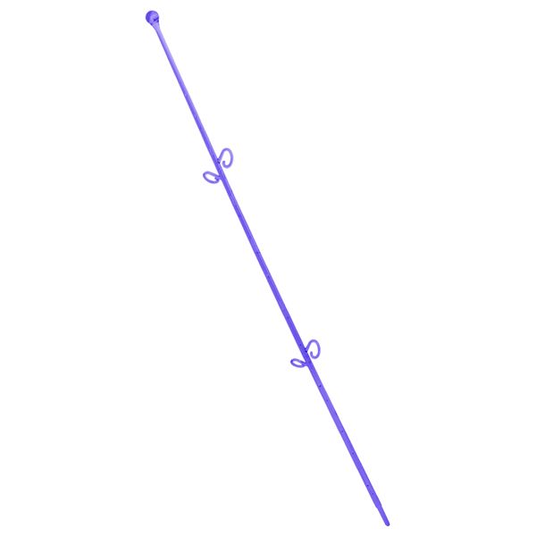 Опора пластикова Алеана Сфера для орхідей фіолетовий прозорий PS 114044