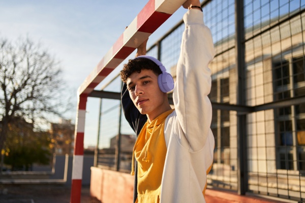 Навушники бездротові JBL® Tune 520BT purple (JBLT520BTPUREU) 