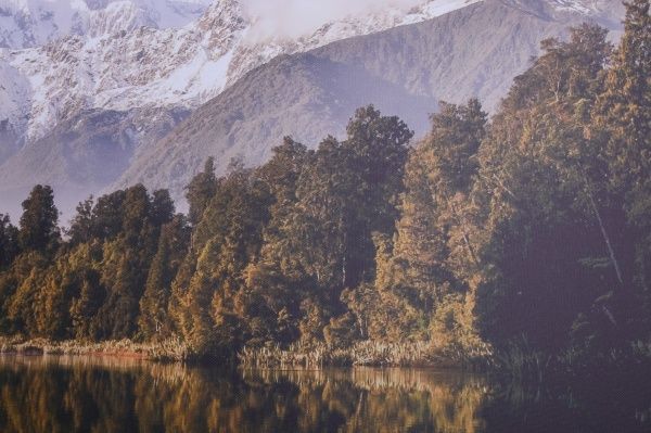 Репродукция Новая Зеландия 113x85 см Styler 