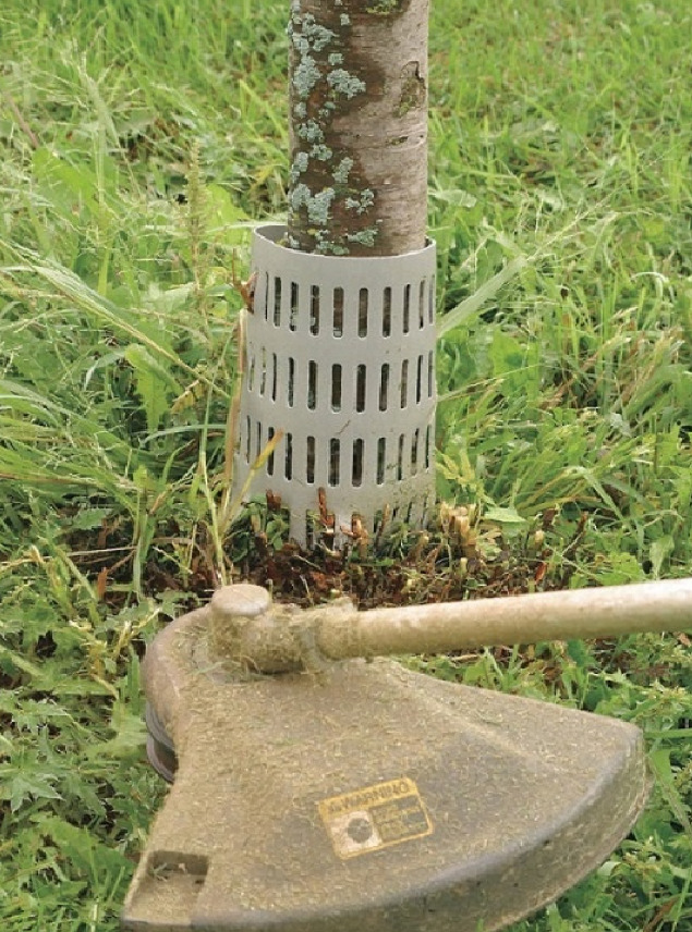 Бордюр Mizol захисний для дерев 20x33,5 см