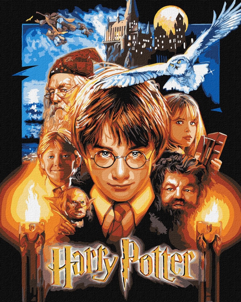 Картина по номерам Harry Potter: Постер с красками металлик ©Warner Bros 40х50 см Ideyka